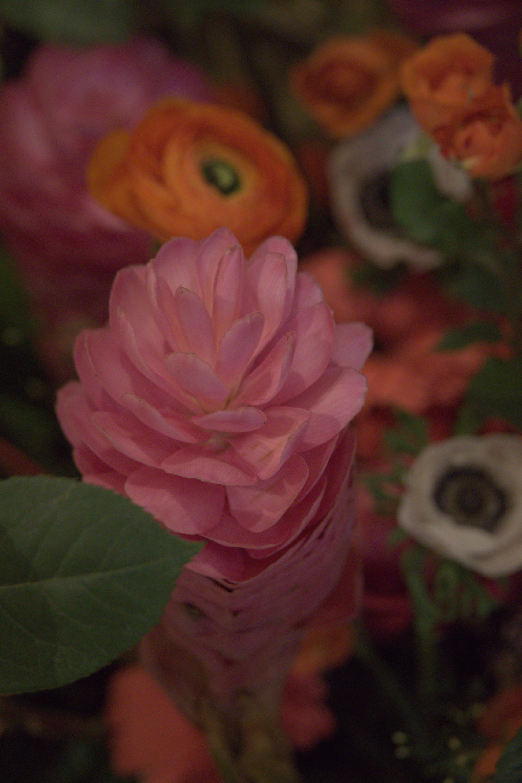 Cathedral decked out for St. Cecilia Flower Festival The Catholic Voice